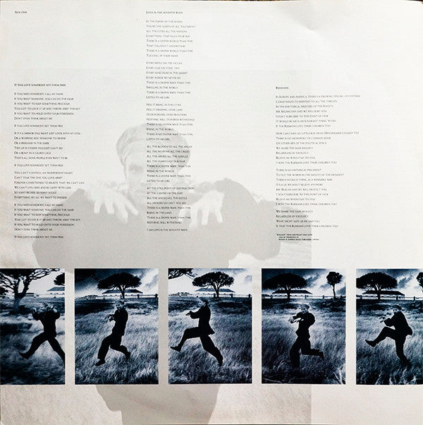 The Dream Of The Blue Turtles