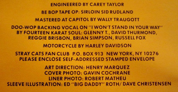 Rant N' Rave With The Stray Cats