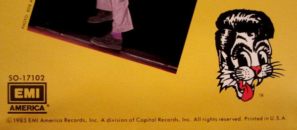 Rant N' Rave With The Stray Cats