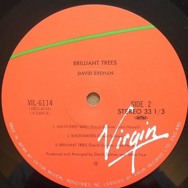 Brilliant Trees