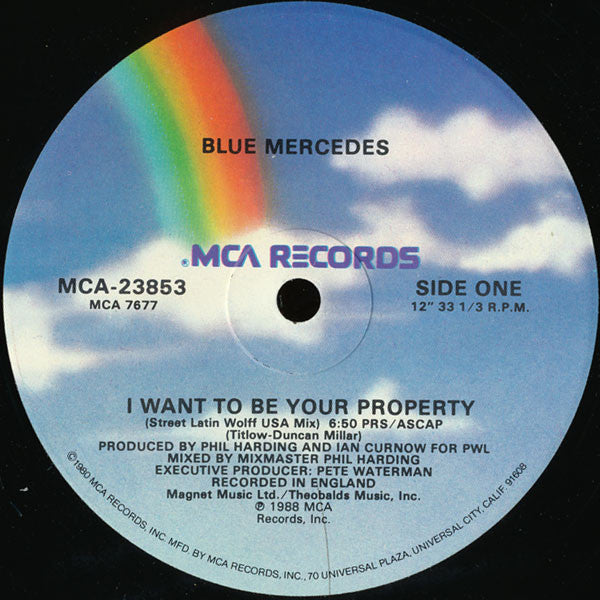 I Want To Be Your Property