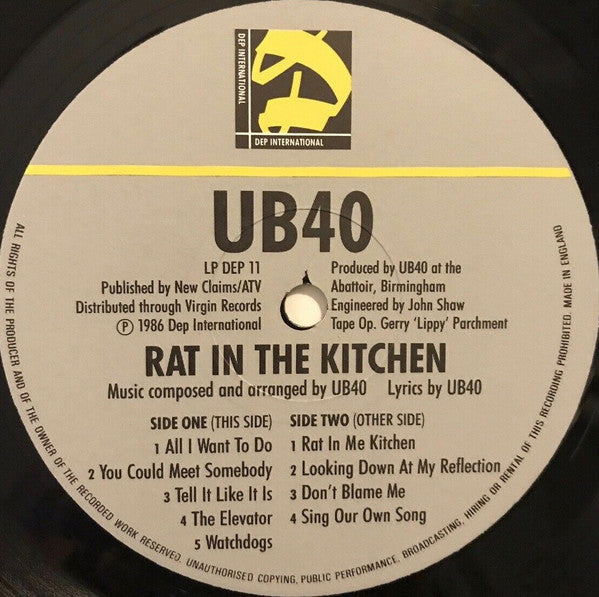 Rat In The Kitchen