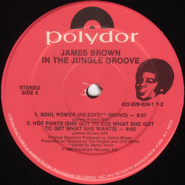 In The Jungle Groove