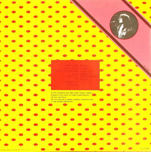 Bolan Boogie-Perfect