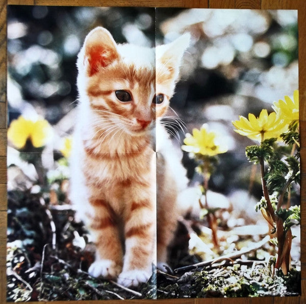 子猫物語 ~The Adventures Of Chatran~