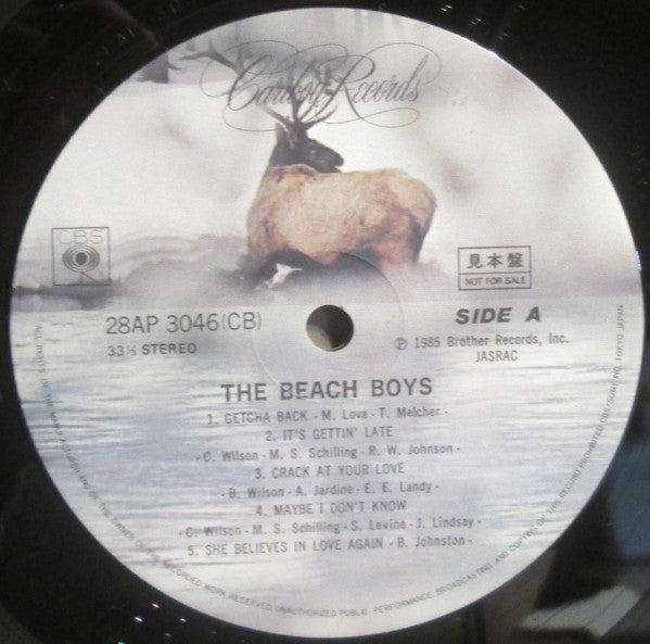 The Beach Boys