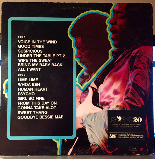 Hendrix (16 Great Songs)