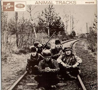 Animal Tracks