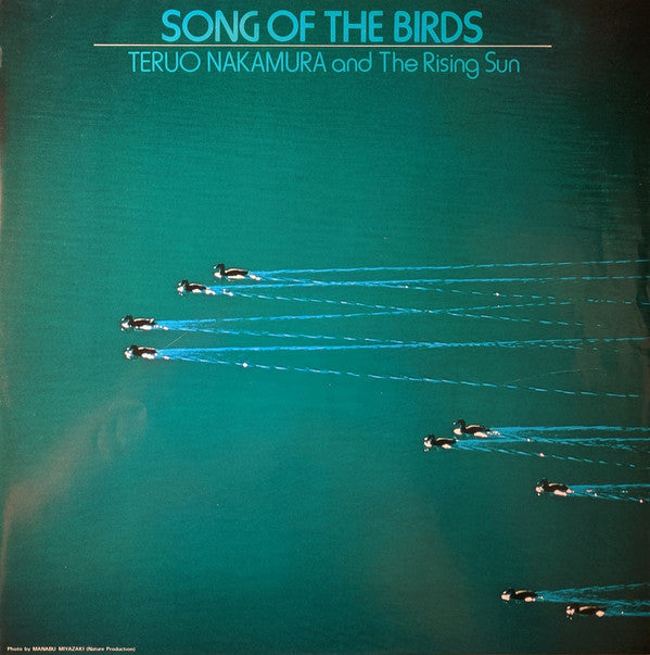Song Of The Birds