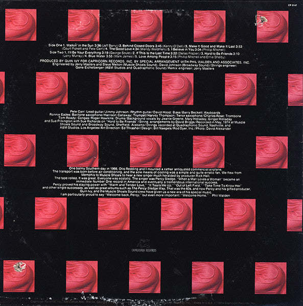 I'll Be Your Everything