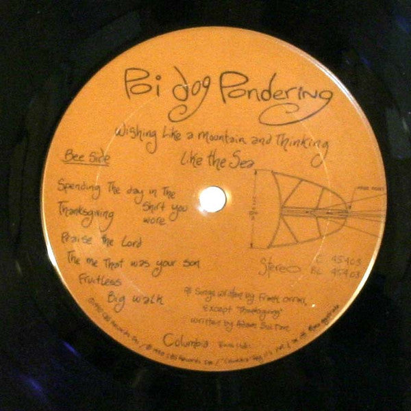 Wishing Like A Mountain And Thinking Like The Sea