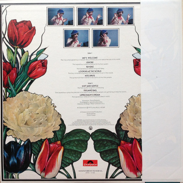 The Leprechaun = 妖精