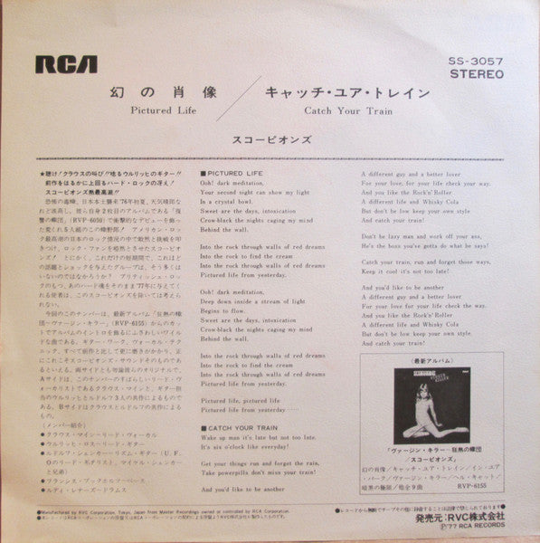 幻の肖像 = Pictured Life