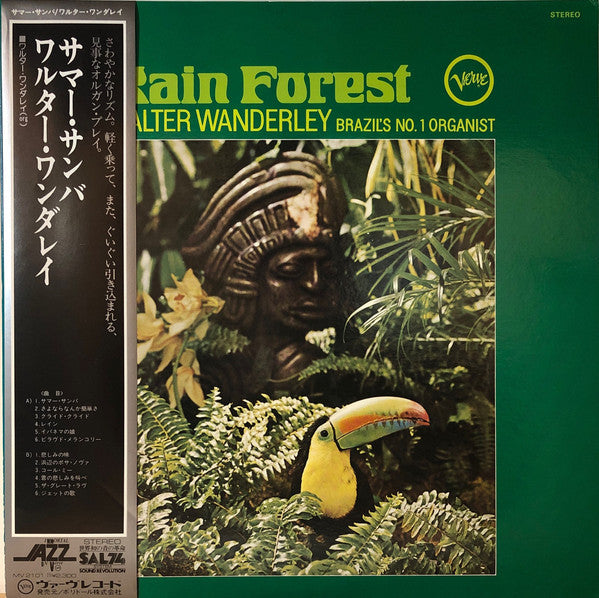 Rain Forest