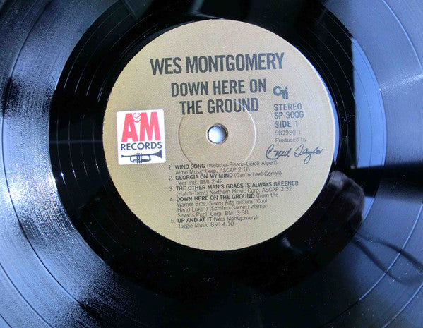 Down Here On The Ground