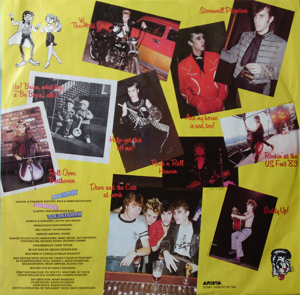 Rant N' Rave With The Stray Cats