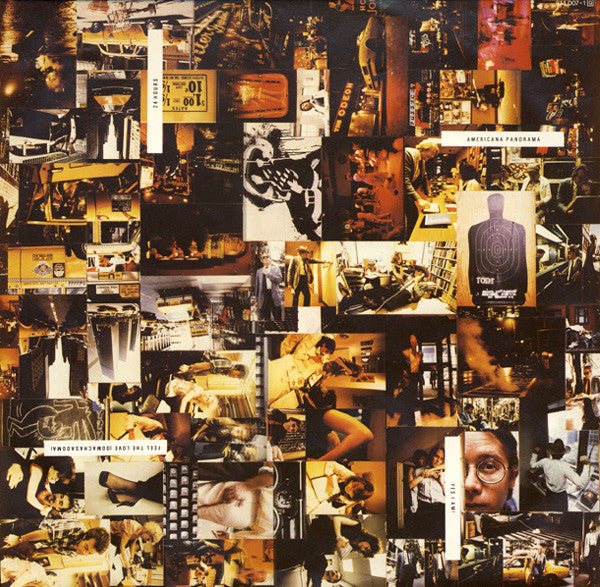 Windows In The Jungle