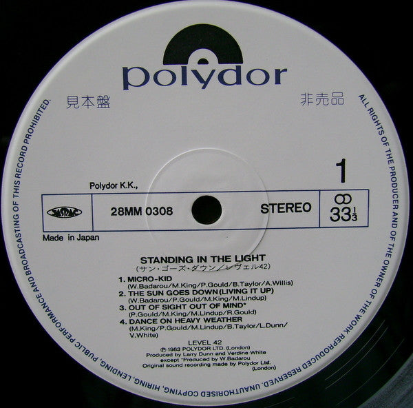 Standing In The Light