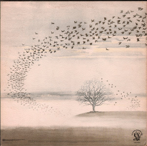 Wind & Wuthering