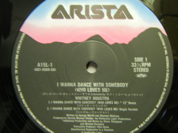 I Wanna Dance With Somebody (Who Loves Me)