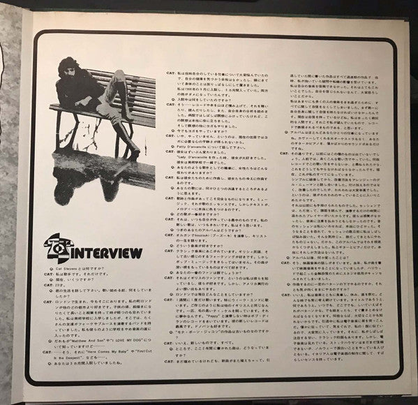 Teaser And The Firecat