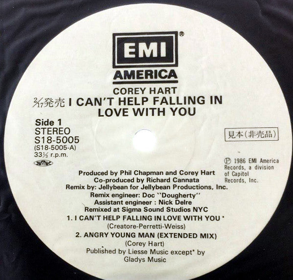 I Can't Help Falling In Love With You