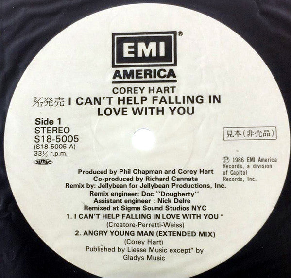 I Can't Help Falling In Love With You