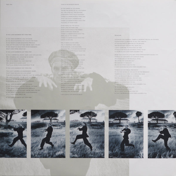 The Dream Of The Blue Turtles