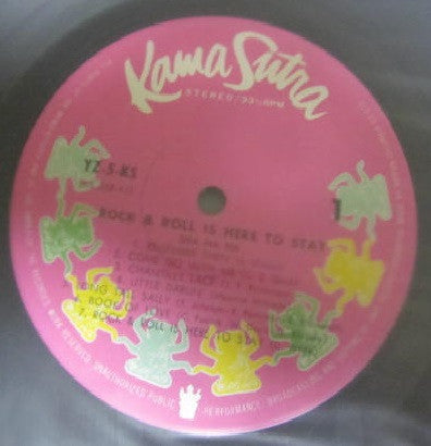 Rock & Roll Is Here To Stay