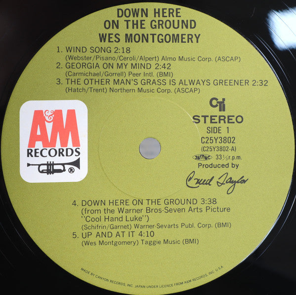 Down Here On The Ground