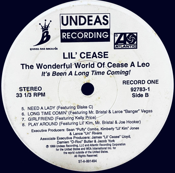 The Wonderful World Of Cease A Leo - It's Been A Long Time Coming