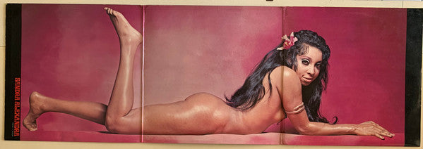 Sandra & Her 12 Samurai