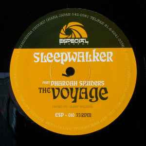 The Voyage / Into The Sun