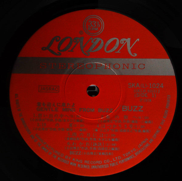 Gentle Mind From Buzz