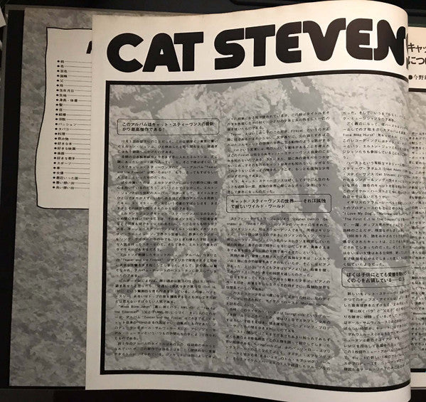 Teaser And The Firecat