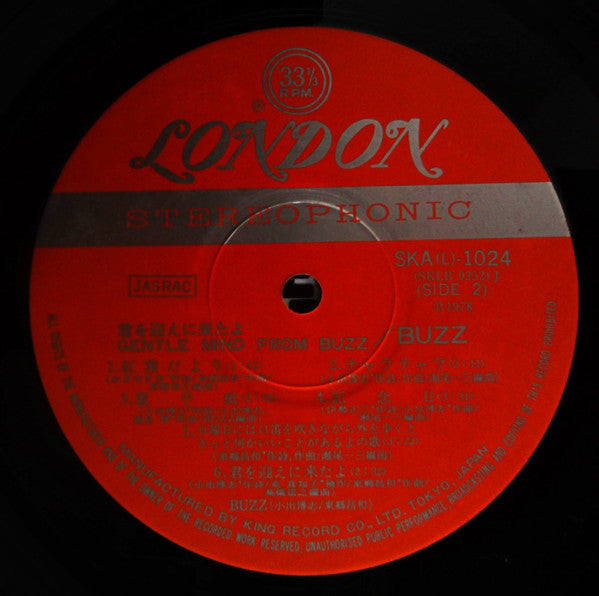 Gentle Mind From Buzz