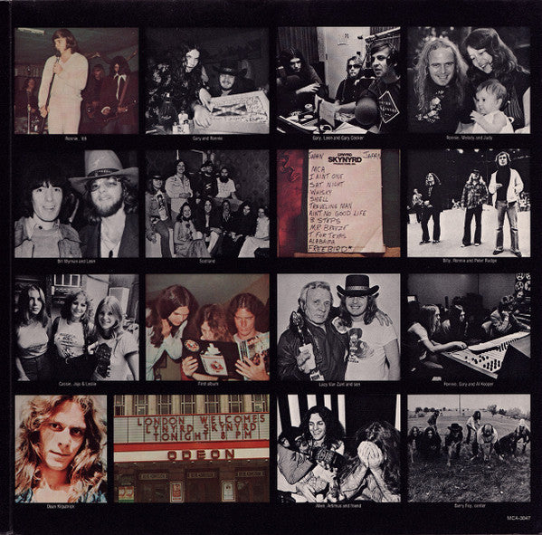 Skynyrd's First And... Last
