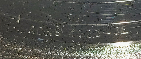 You'll Never Walk Alone