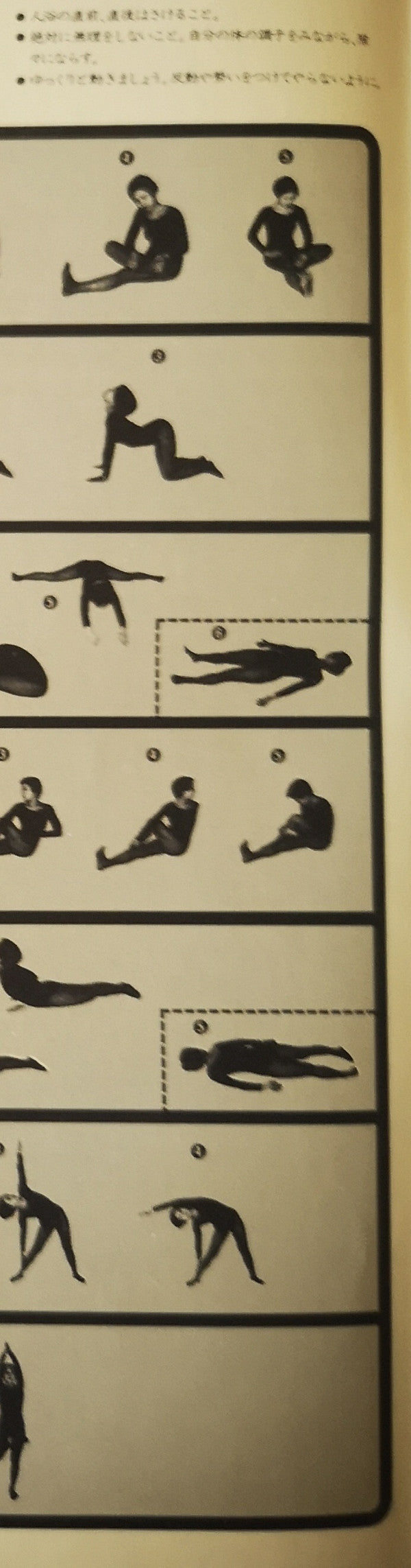 Yoga = ヨガ (より美しく、より健康に)