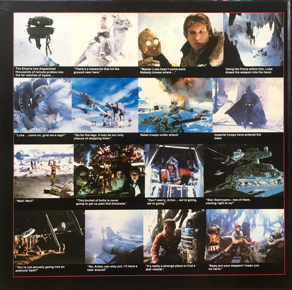 The Empire Strikes Back: The Adventures Of Luke Skywalker