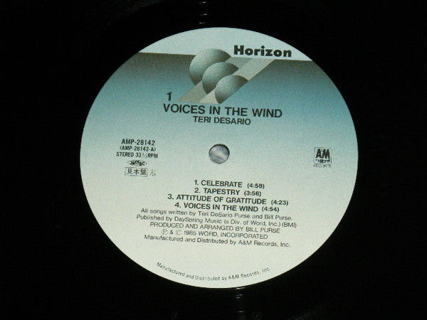 Voices In The Wind