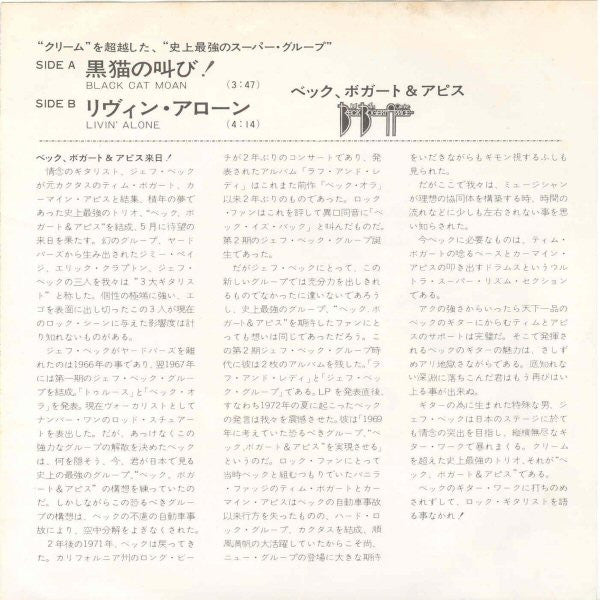 Black Cat Moan