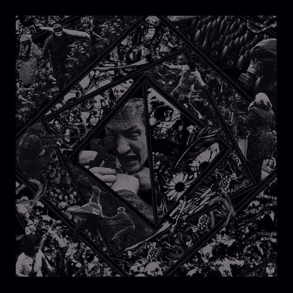 Bitterness Exhumed / Optimist