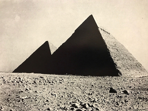 The Dark Side Of The Moon = 狂気