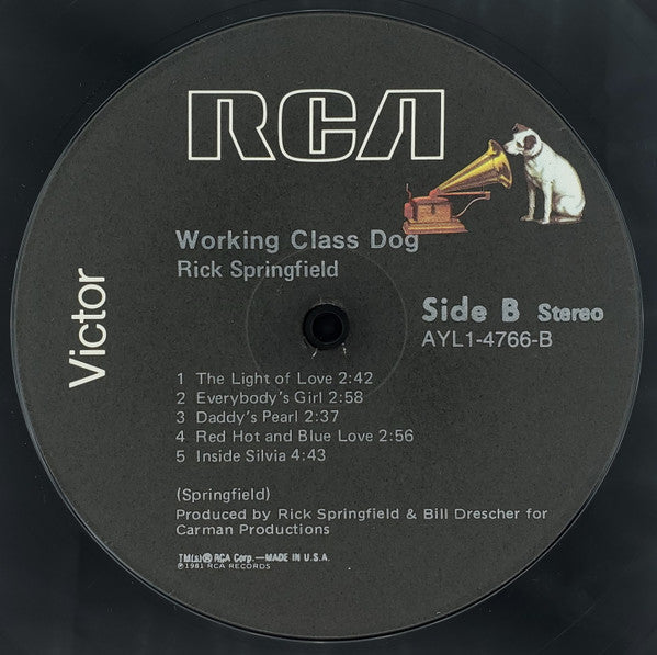Working Class Dog