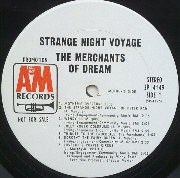 Strange Night Voyage