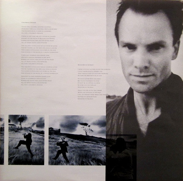 The Dream Of The Blue Turtles