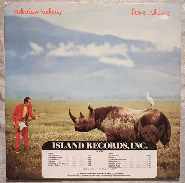 Lone Rhino