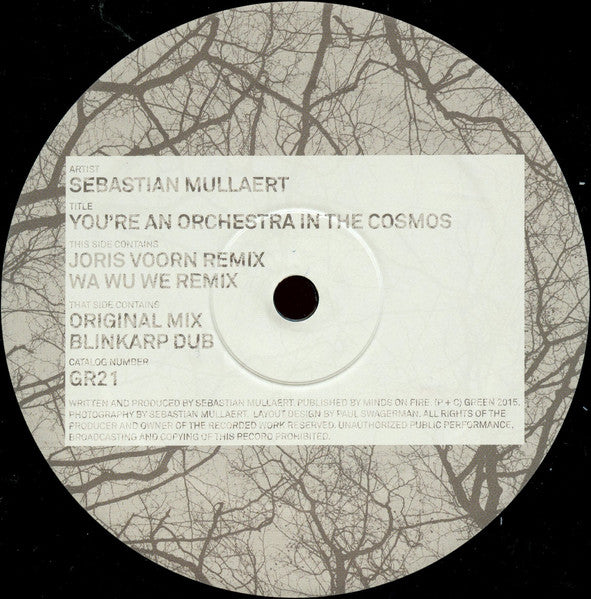 You're An Orchestra In The Cosmos