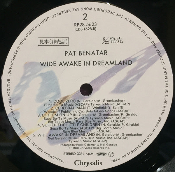 Wide Awake In Dreamland